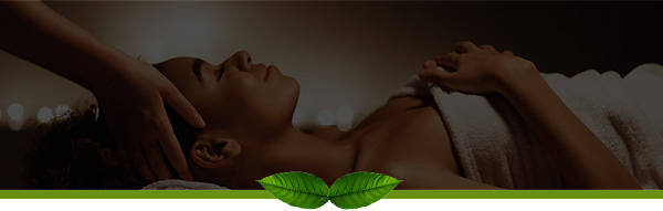 Dharana Wellness Leaf Logo